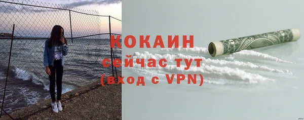 прущие грибы Баксан