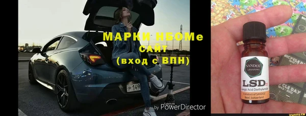 прущие грибы Баксан