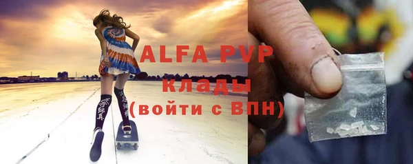 прущие грибы Баксан