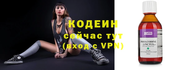 прущие грибы Баксан