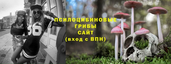 прущие грибы Баксан