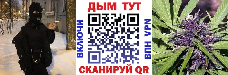 Конопля Amnesia  Чудово 